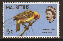 Mauritius 1968 Queen Elizabeth Single 3c Stamp Showing Birds From The Definitive Set. - Mauritius (...-1967)