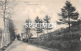 Delcampe - La Route De Leignon - Ciney - Ciney