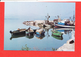 PALESTINE Cp Barques De Pecheur Sur Le Lac - Palestine