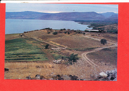 PALESTINE Cp Le Lac De Tibérade - Palestine