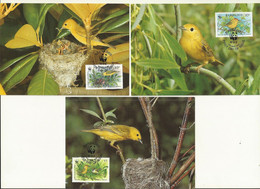 LOT 3 CARTES MAXIMUM  WWF  BARBADE  PARULINE  JAUNE / YELLOW WARBLER. - Tarjetas – Máxima