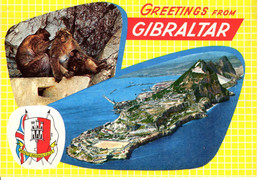 Gibraltar Vue Du Ciel Ile Singe Animaux - Gibilterra