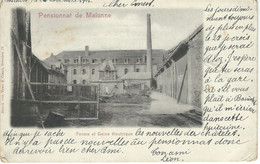 Pensionnat De MALONNE : Ferme Et Usine électrique - Cachet De La Poste 1901 - Namen