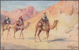 Camels In The Desert, Egypt, C.1915 - Tuck's Oilette Postcard - Autres
