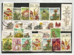 Fleurs Endémiques à L'AFRIQUE DU SUD, Beau Lot De 25 Timbres Oblitérés FLEURS, Grands Formats, 1 ère Qualité # 2 - Oblitérés