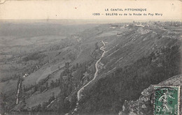 Salers        15      Vu De La Route Du Puy Mary       (Voir Scan) - Altri & Non Classificati