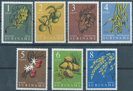 Suriname,1961 Local Produce,MNH - Surinam