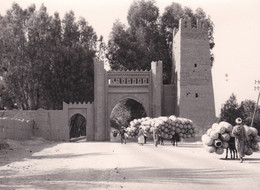 RARE . Cpsm 10x15 . MAROC . ERFOUD  Marchands De Paniers Pour Dattes - Malí