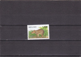 Delcampe - Belice Nº 913 - Belize (1973-...)