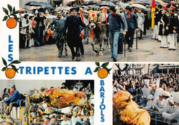 BARJOLS - La Fête Des Tripettes - Arrivée Du Boeuf à La Bénédiction ... - Clichés René Mistre Et Jean-Louis Viale - Barjols