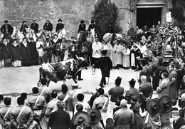 BARJOLS - Fête De Saint-Marcel - Bénédiction Du Boeuf - Exclusivité Mistre, Maison De La Presse - Photo D. Nonnon - Barjols