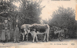 Non Localisé. Auvergne. Cantal        15       Attelage Auvergnat Edition V D C       (Voir Scan) - Altri & Non Classificati