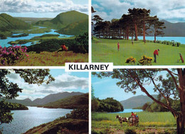 1 AK Irland / Ireland * Landschaften Im Nationalpark Killarney - County Kerry * - Kerry