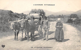 Non Localisé. Auvergne. Cantal        15       Attelage Auvergnat Edition V D C  - 2 -      (Voir Scan) - Otros & Sin Clasificación