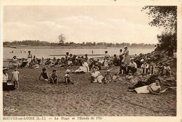 Mauves Sur Loire * La Plage Et L'entrée De L'ile - Mauves-sur-Loire