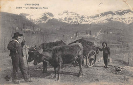 Non Localisé. Auvergne. Cantal        15       Attelage  Du Pays    Edition M T I L      (Voir Scan) - Autres & Non Classés