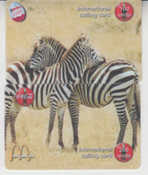 CHINA ZEBRA PUZZLE - Caballos