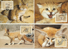 LOT 4 CARTES MAXIMUM  WWF  YEMEN  FENNEC ET CHAT DES SABLES. - Maximum Cards