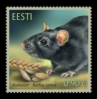 Estonia 2020 Mih. 997 Fauna. Black Rat MNH ** - Estonia