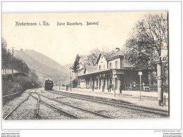 CPA 67 Niederbronn La Gare Et Le Train - Niederbronn Les Bains