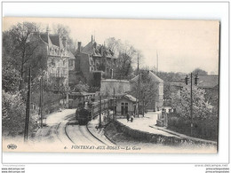 CPA 92 Fontenay Aux Roses La Gare Et Le Train - Fontenay Aux Roses