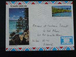 Lettre Avec Illustration Concordante Paysage De Mare Nouvelle Calédonie 1991 (138) - Lettres & Documents