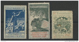 ITALIE - 3 VIGNETTES EXPOSITIONS FIRENZE 1898 + TORINO 1898 + VENEZIA 1897 - Cinderellas