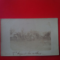 CARTE PHOTO MADAGASCAR TRAITE DES VACHES 1904 - Madagaskar