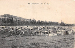 Non Localisé. Auvergne. Cantal       15    Bestiaux Au Parc      60 Bis   (Voir Scan) - Andere & Zonder Classificatie