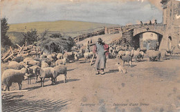 Non Localisé. Auvergne. Cantal       15    Intérieur D'une Ferme. Berger Et Ses Moutons.  3   (Voir Scan) - Autres & Non Classés