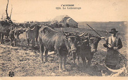 Non Localisé. Auvergne. Cantal       15    Le Labourage. Vaches Race Salers   M T I L 6234    (Voir Scan) - Otros & Sin Clasificación