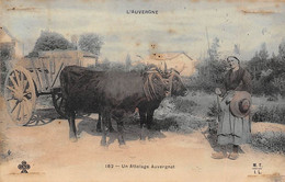 Non Localisé. Auvergne. Cantal       15    Un Attelage Auvergnat   C C C C 162    (Voir Scan) - Andere & Zonder Classificatie