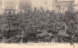 Non Localisé. Auvergne. Cantal      15        Marché Aux Bestiaux. Un Champ De Foire M T I L 6277    (Voir Scan) - Otros & Sin Clasificación