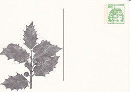 BRD, PP 104 A2/002,  BuSchl.  50,  Ilex-Stechpalme,  Olpe - Cartoline Private - Nuovi