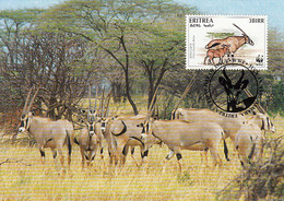 Eritrea 1996 Maxicard Sc #261a 3b Beisa Oryx WWF - Erythrée