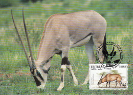 Eritrea 1996 Maxicard Sc #261b 3b Beisa Oryx WWF - Eritrea