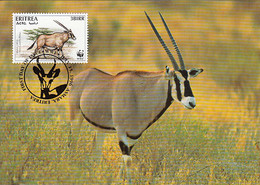 Eritrea 1996 Maxicard Sc #261d 3b Beisa Oryx WWF - Eritrea