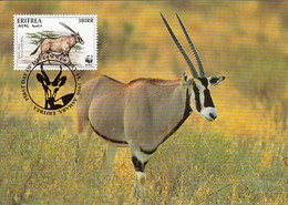 Eritrea 1996 Maxicard Sc #261d 3b Beisa Oryx WWF - Erythrée