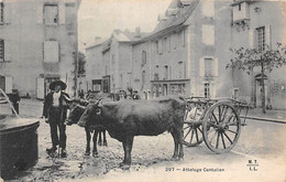 Aurillac        15      Attelage Cantalien         (Voir Scan) - Aurillac