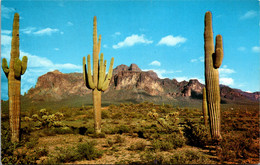 Arizona Mesa Superstition Mountains And Giant Saguaro Cactus - Mesa