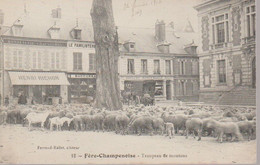 FERE - CHAMPENOISE - TROUPEAU DE MOUTONS - Fère-Champenoise