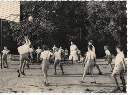 CPA DAAMS - Préventorium Léon Poriniot - Biez - Grez-Doiceau - A La Plaine De Sport - Basket - Op Het Sportplein - Animé - Graven