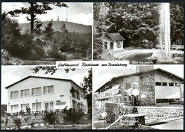 E1175 - Fischbach - FDGB Heim Parkterrasse Thüringen Baude - Straub & Fischer - Waltershausen