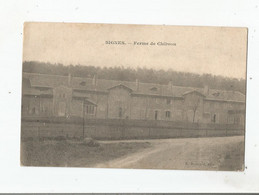 SIGNES (VAR) FERME DE CHIBRON 1915 - Signes