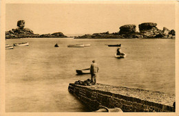 Trégastel * Les Rochers Du Dé Et Des Tortues - Trégastel