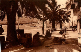 Calvi * Pêcheurs Racommandant Leur Filet * Pêche - Calvi