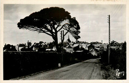 Varades * Vue Générale Et Route De La Commune - Varades