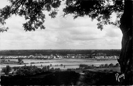 La Meilleraie En Varades * Prise De St Florent Le Vieil * Panorama - Varades