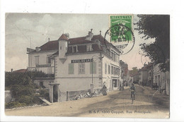 25700 - Coppet Rue Principale Hotel Du Lac - Coppet