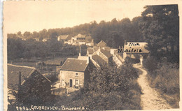 GELBRESSE- PANORAMA - Altri & Non Classificati